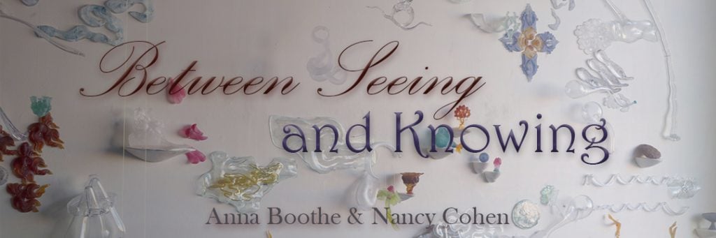Between Seeing and Knowing, Anna Boothe and Nancy Cohen