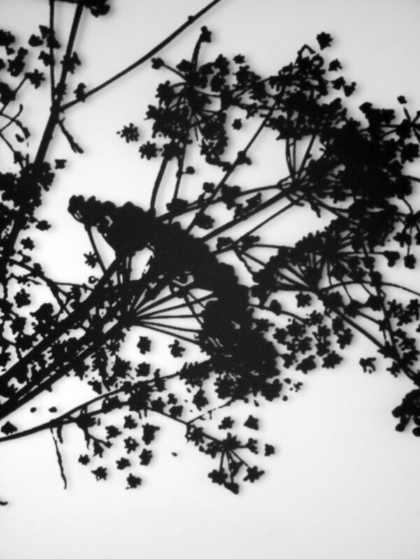 Alternative Approaches to Screen Print and Glass with Visiting Artist Jen Blazina 10/3-10/5
