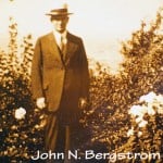 John Nelson Bergstrom Lakeside
