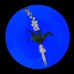 Foxglove Medieval Herbal by Paul Stankard Photo of Foxglove Medieval Herbal glass art by Paul Stankard